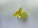 Заколка для волосся CHACOTT Hair Clip Crystal Yellow 4.5cm dl-67002 фото 2