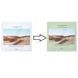 Тканинна маска для обличчя Dr.Althea Oasis Soothing Mask 1 шт. tk-51936 фото 2