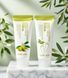 Набор кремов для рук и ног Lebelage Daily Moisturizing Olive Hand Cream & Foot Cream 2*100 мл dl-48334 фото 2