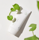 Сонцезахисний крем Mixsoon Centella Sun Cream SPF 50+/PA++++ 50мл so-107911 фото 2