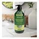 Шампунь для волосся Kerasys Rosemary Tea Tree Shampoo 800ml sh-43002 фото 3