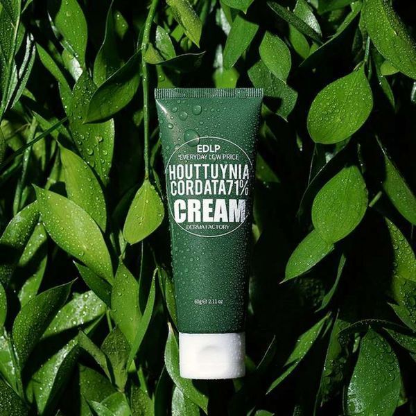 Крем Derma Factory Edlp Houttuynia Cordata 71% Cream 120g kr-69958 фото