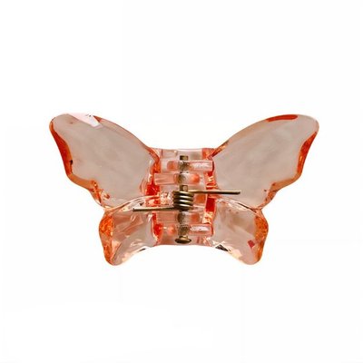 Заколка для волосся NYU.NYU Hair Clip Crystal Pomegranate dl-10973 фото