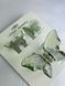 Набор заколок для волос Hair Clip Set Crystal Green 1*8cm/2*4cm dl-66470 фото 3