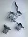 Набір заколок для волосся Hair Clip Set Crystal Grey 1*8cm/2*4cm dl-66463 фото 2